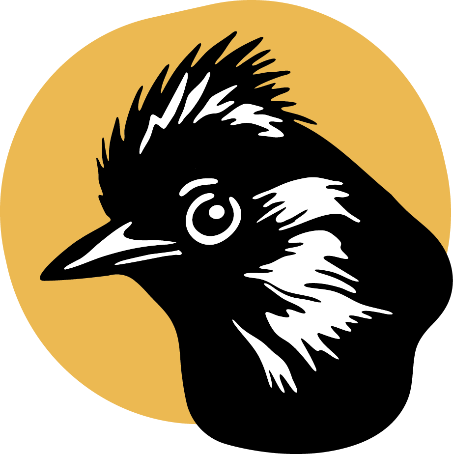 Fío-Fío